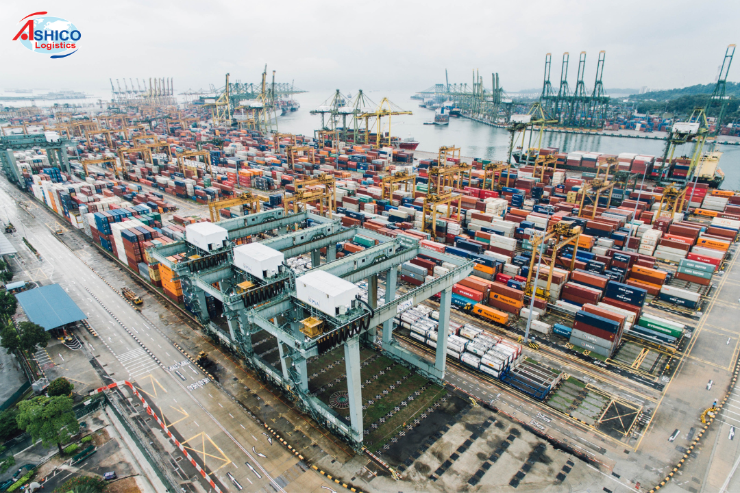 Greening Vietnam's seaports