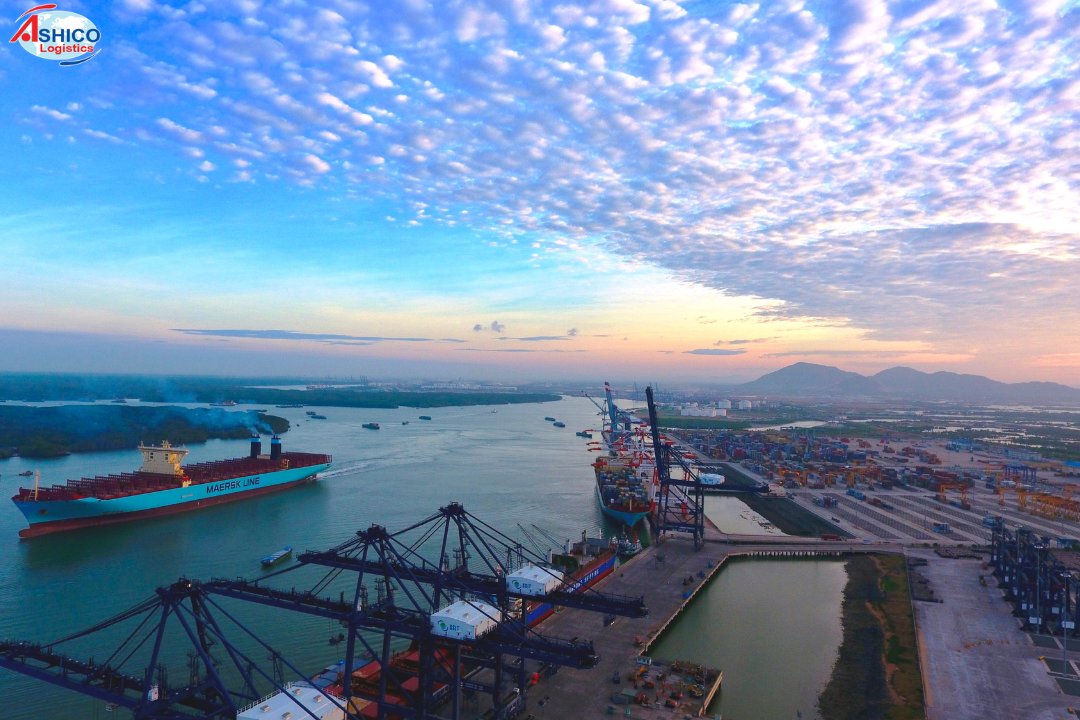 The potential of the digital economy opens up development opportunities for Vietnam's logistics